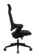 Кресло для руководителя Riva Design Chair Q1-2BH черный пластик - 2